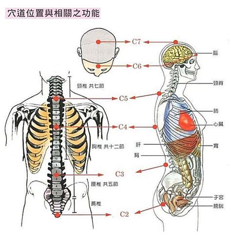 長生學收費